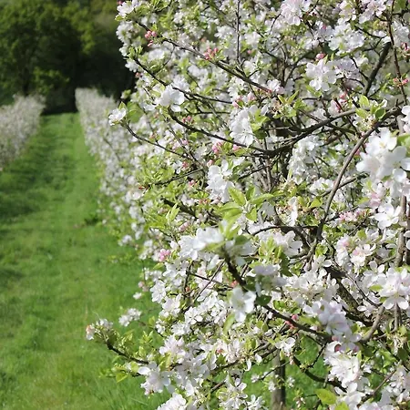 Hotel Arcea Villaviciosa (Asturias)