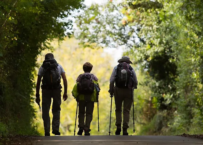 Arcea 3* Villaviciosa (Asturias)